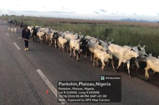 Troops arrest high-profile terrorist in Plateau