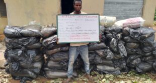 Two arrested as NDLEA raids Lagos shrine, recovers loud and cannabis