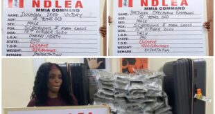 Two businessmen, Canada-based nurse arrested at Lagos airport for cocaine, loud trafficking