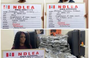 Two businessmen, Canada-based nurse arrested at Lagos airport for cocaine, loud trafficking