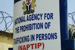 Two suspects arrested as NAPTIP rescues six-year old girl stolen from parents in 2018