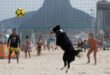 Video. Meet Floki: The dog who became viral for his crazy volleyball skills