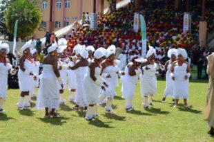 Why we support Ofala, other festivals - Glo