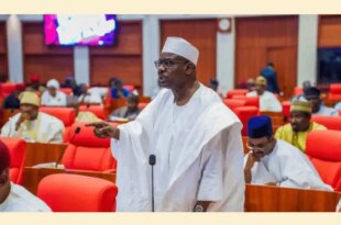 You know how your predecessor was removed - Ndume warns new humanitarian minister