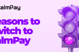 6 Reasons to Switch to PalmPay