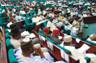 Bill proposing Six-year single-term for President, Governors rejected by Reps