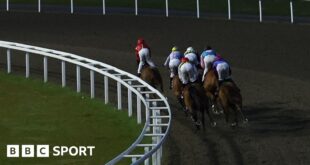 Runners on the final bend at Chelmsford City Racecourse