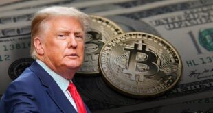 Dollar soars, Bitcoin hits record and stock swings as traders bet on Trump's victory