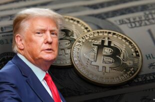 Dollar soars, Bitcoin hits record and stock swings as traders bet on Trump's victory