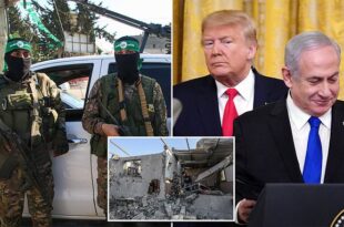 Hamas Terrorists react to Donald Trump