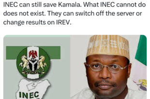 INEC can still save Kamala - Activist/lawyer, Deji Adeyanju, writes