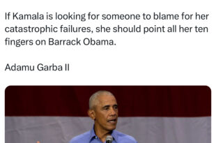 If Kamala is looking for someone to blame for her catastrophic failures, she should point all her ten fingers on Barrack Obama - Adamu Garba