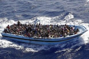 Immigration raises alarm over increasing irregular migrants entering Nigeria