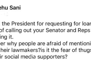 Is it the fear of thugs- Shehu Sani wonders why people attack the President for requesting for loans but not the lawmakers who approve them