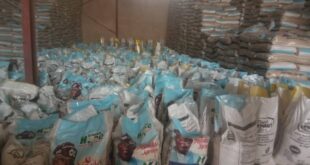 Kano anti-graft agency uncovers warehouse where N1bn FG?s rice palliative are repackaged for sale