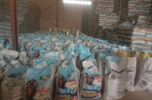 Kano anti-graft agency uncovers warehouse where N1bn FG?s rice palliative are repackaged for sale