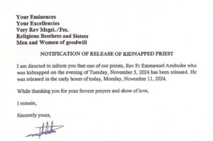 Kidnapped Imo Catholic priest regains freedom