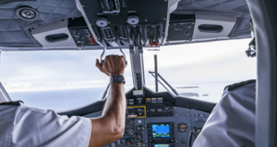 Lagos-bound flight abruptly aborted over bird strike