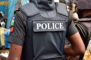 Lagos taskforce dismisses two officers for stealing phones during raid