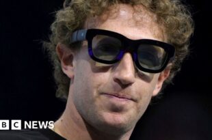 Mark Zuckerberg records 'romantic' cover of rap hit Get Low for wife