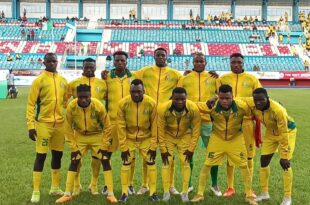 NPFL: Bendel Insurance sanctioned for security breach and assault on referees