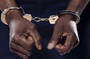 Nigerian national arrested on arrival in U.S for multi-million-dollar romance fraud