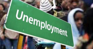 Nigeria?s unemployment rate decreased to 4.3% in Q2 2024 - NBS