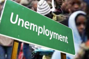 Nigeria?s unemployment rate decreased to 4.3% in Q2 2024 - NBS