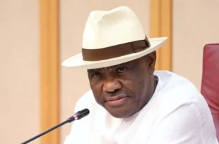 'Nobody should think that I?m afraid to join APC' - Wike