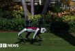 On patrol at Mar-a-Lago, robotic dogs have their moment