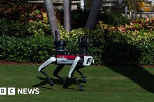 On patrol at Mar-a-Lago, robotic dogs have their moment