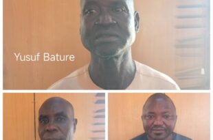 Police and Immigration officers sentenced to 21 years imprisonment for N1.6m employment fraud in Gombe