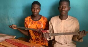 Police arrest two for criminal conspiracy and armed robbery in Gombe