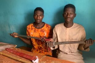 Police arrest two for criminal conspiracy and armed robbery in Gombe