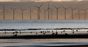 Sweden rejects applications for thirteen offshore wind farms