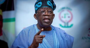 Tinubu to attend G20 summit in Brazil