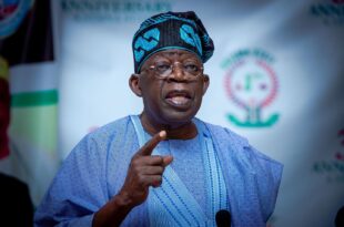 Tinubu to attend G20 summit in Brazil