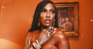 Tiwa Savage calls out Wizkid fan for bullying