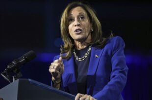 US election: What could a Harris win mean for Europe's economy?