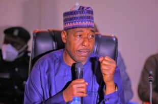 We won?t be able to pay salaries if tax reform bills scale through ? Governor Zulum