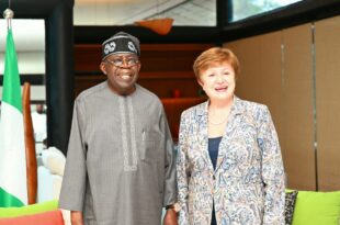 We?ve started seeing positive results from our reforms - Tinubu Tells IMF Chief