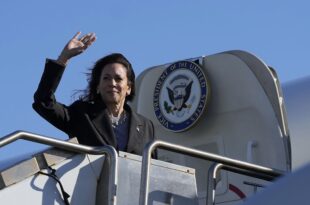 Would Harris' election victory bring stability to US-EU ties?