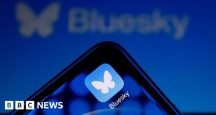 X users jump to Bluesky - but what is it and who owns it?