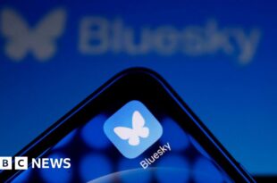 X users jump to Bluesky - but what is it and who owns it?