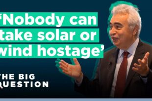 ‘Nobody can take solar or wind hostage’ - How to keep energy secure