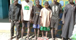 15 suspects arrested for theft and burglary as police bust criminal syndicates in Bauchi