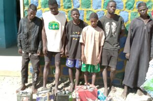 15 suspects arrested for theft and burglary as police bust criminal syndicates in Bauchi