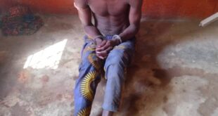 27-year-old arrested for decapitating his 80-year-old aunt in Ogun (photo)