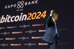 Bitcoin may sustain momentum in 2025 despite Google's quantum chip concerns