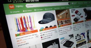 Chinese online retailer in Temu in hot water as Vietnam halts trading